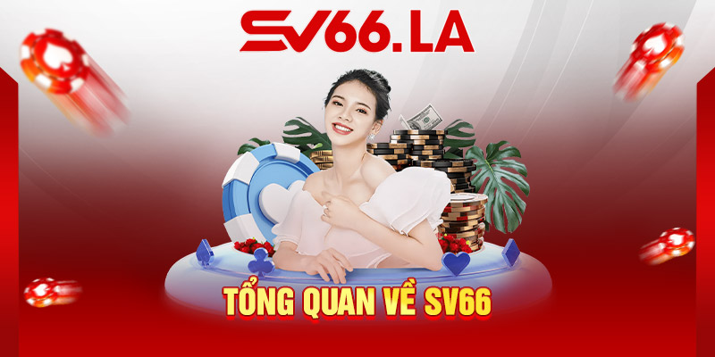 tổng quan về sv66